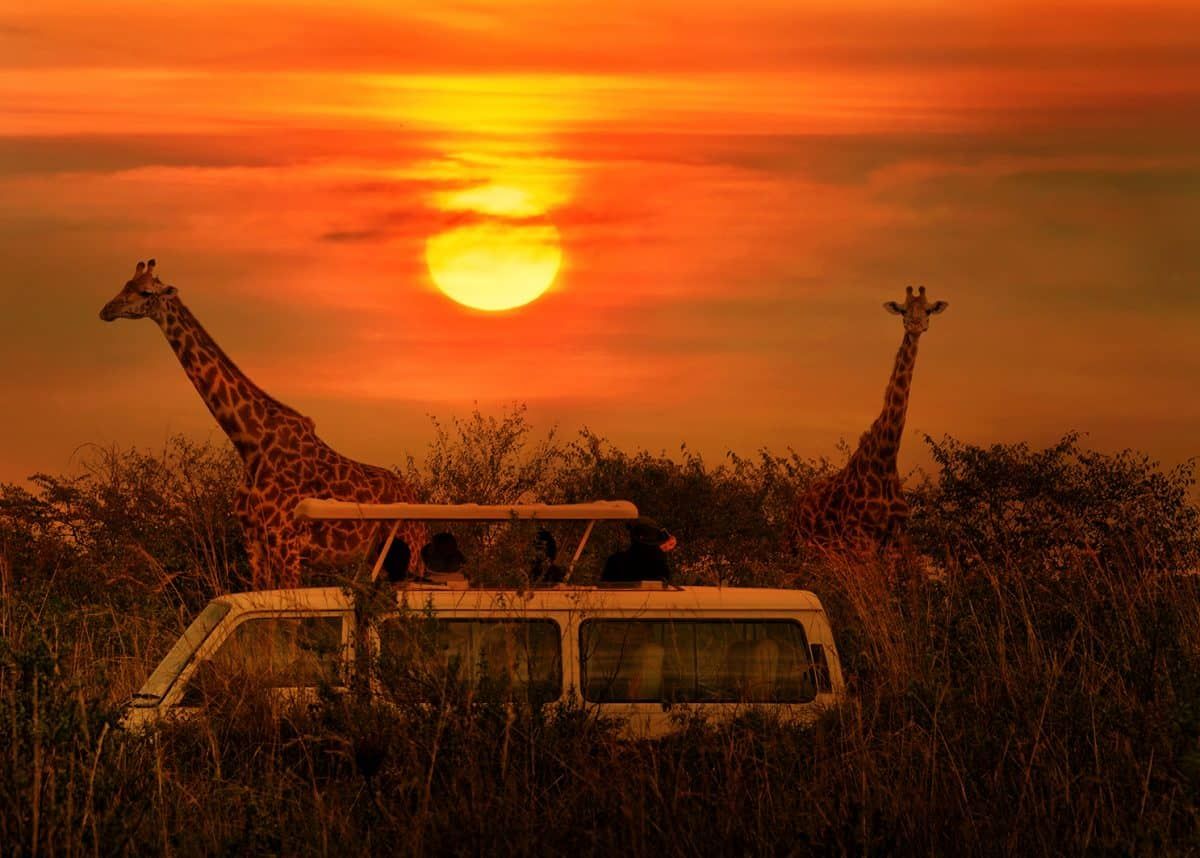  8-Days Best of Kruger National Park Safari Tour and Namibia Desert Safari